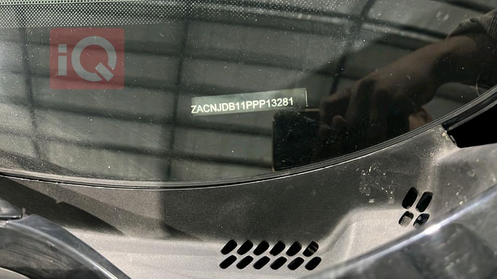 جيب رينيجيد